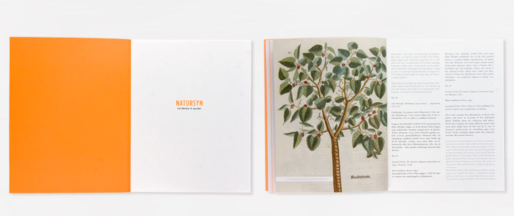 Natursyn:  book open