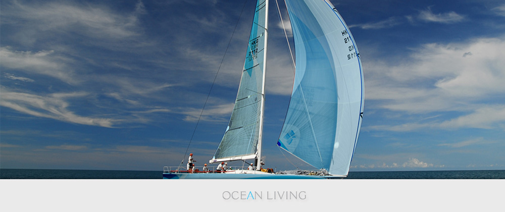 Ocean Living:  logo and mark in use on yacht